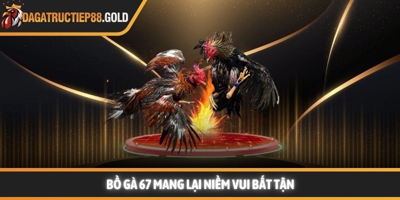 Bồ gà 67 mang lại niềm vui bất tận