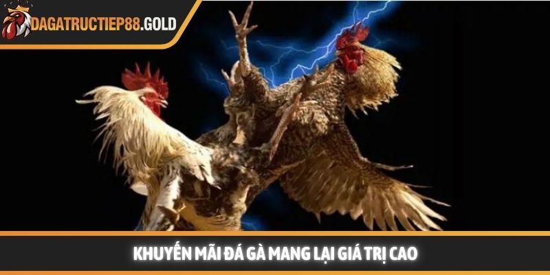 Khuyến mãi đá gà mang lại giá trị cao